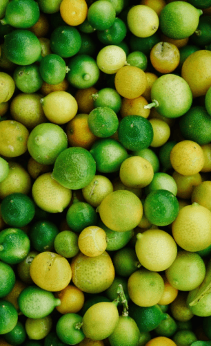 Immagine segnaposto usata per rappresentare un prodotto mostrato in vetrina nel pattern dei prodotti in evidenza. 1 su 4.